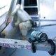 Makita 牧田 10.8V 充電式抓緊式LED 手充電筒ML101 (淨機)