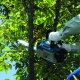 Makita 牧田 汽油鏈鋸23毫升 DCS232T 250mm (10")