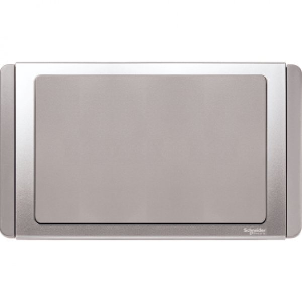 施耐德電氣  Schneider Electric NEO ET3030X GS 兩位空白掣面-銀灰色
