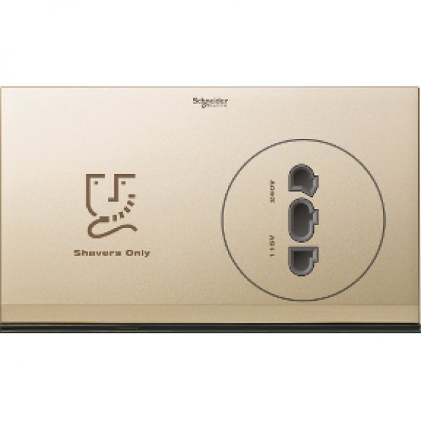 施耐德電氣 ULTI,US727H XCG 鬚刨插座，100 / 240VAC (主件連面板套裝)  - 香檳金