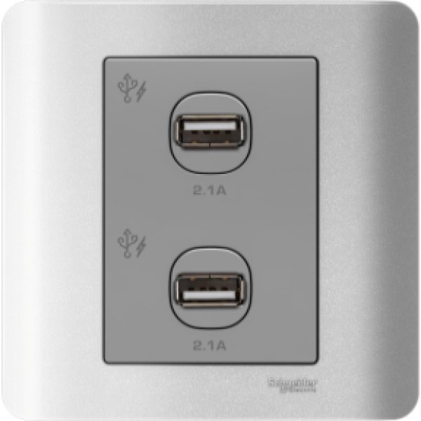 施耐德電氣ZENcelo,E8432USB_SA,兩位2.1A USB充電插座,銀灰