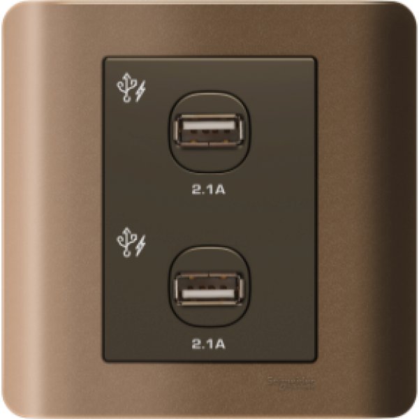 施耐德電氣ZENcelo,E8432USB_SZ,兩位2.1A USB充電插座,銀銅