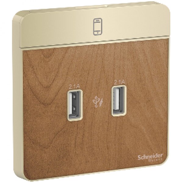 施耐德電氣 AvatarOn奐尚, E8332USB_WD_C5,兩位2.1A USB充電插座,胡桃木
