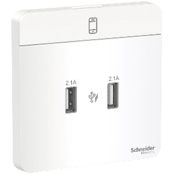 施耐德電氣 AvatarOn奐尚, E8332USB_WE_C5,兩位2.1A USB充電插座,搪瓷白
