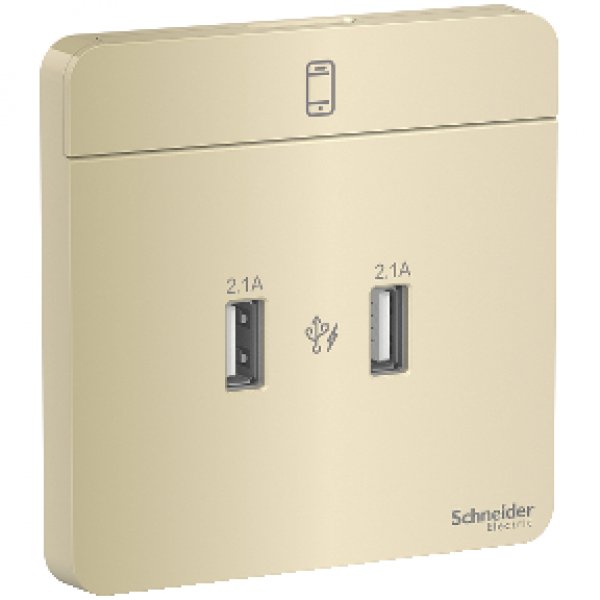 施耐德電氣 AvatarOn奐尚, E8332USB_WG_C5,兩位2.1A USB充電插座,沉醉金