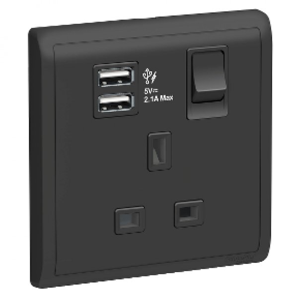 施耐德電氣 Pieno丰尚, E8215USB_MB_C5, 13A 單位連保護門有掣插座連兩位USB充電插座, 寫意黑