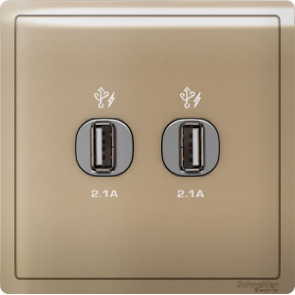 施耐德電氣 Pieno丰尚, E8232USB_WG, 兩位2.1A USB充電插座, 沉醉金